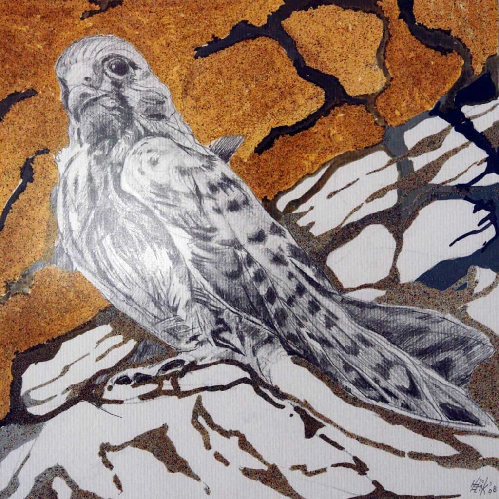 Falcon drawn with black pencil on paper with aguarel on sandstructure.