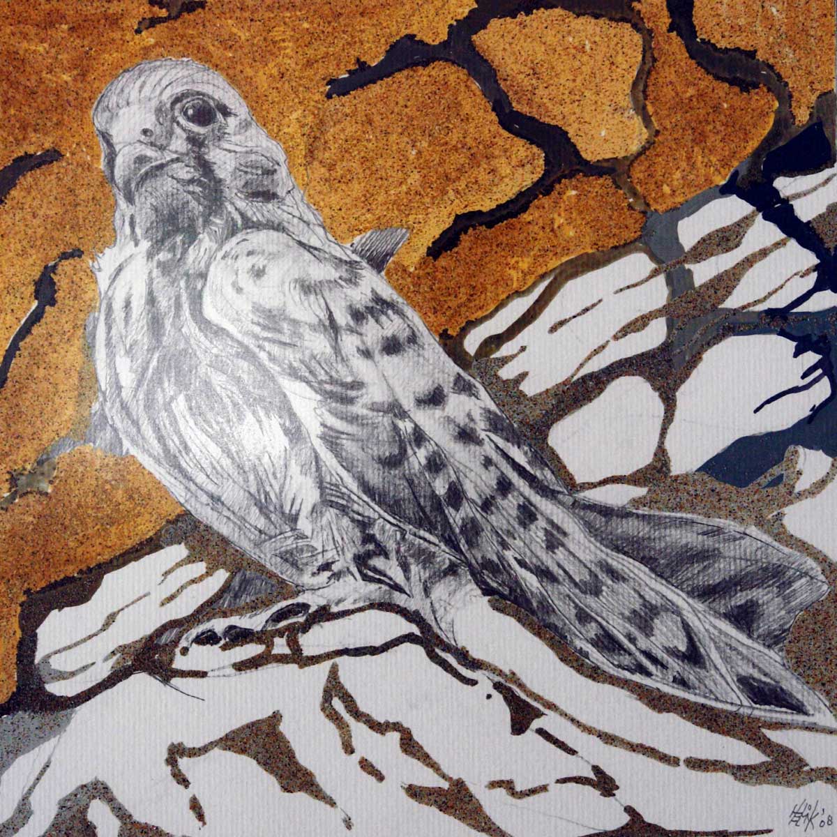Falcon drawn with black pencil on paper with aguarel on sandstructure.