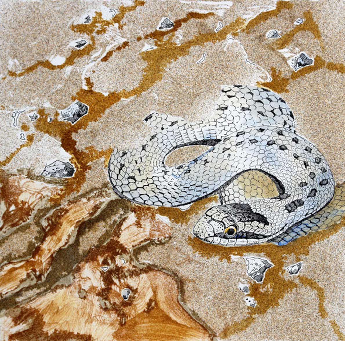 Serpente Evokes 2