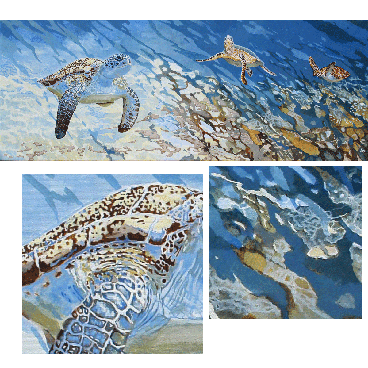 A group of Sea Turtles find their way to a part in the deepsea where the light comes through ... during millions of years nothing changes their lives.