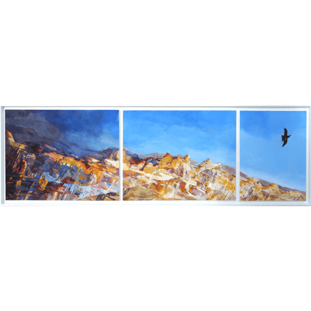 bird of prey flying over a canyon