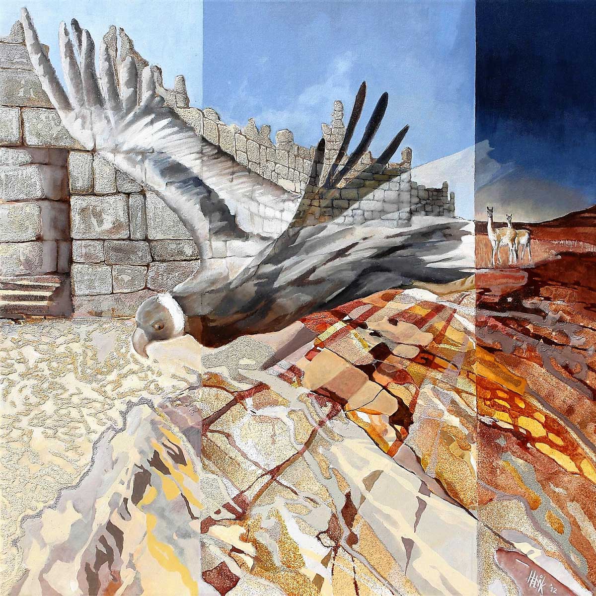 Condor flying over the landscape of Cuzco