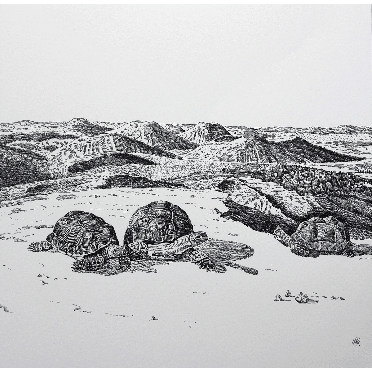 Turtles in an Archaic Landscape, drawn in Chinese Ink on paper.