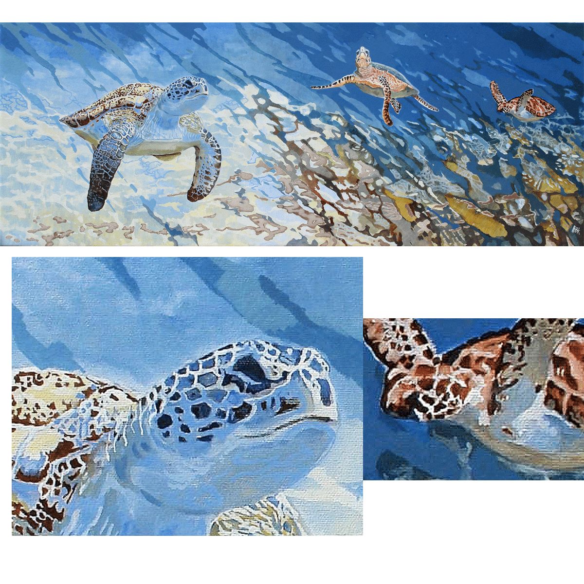 3 turtles under water