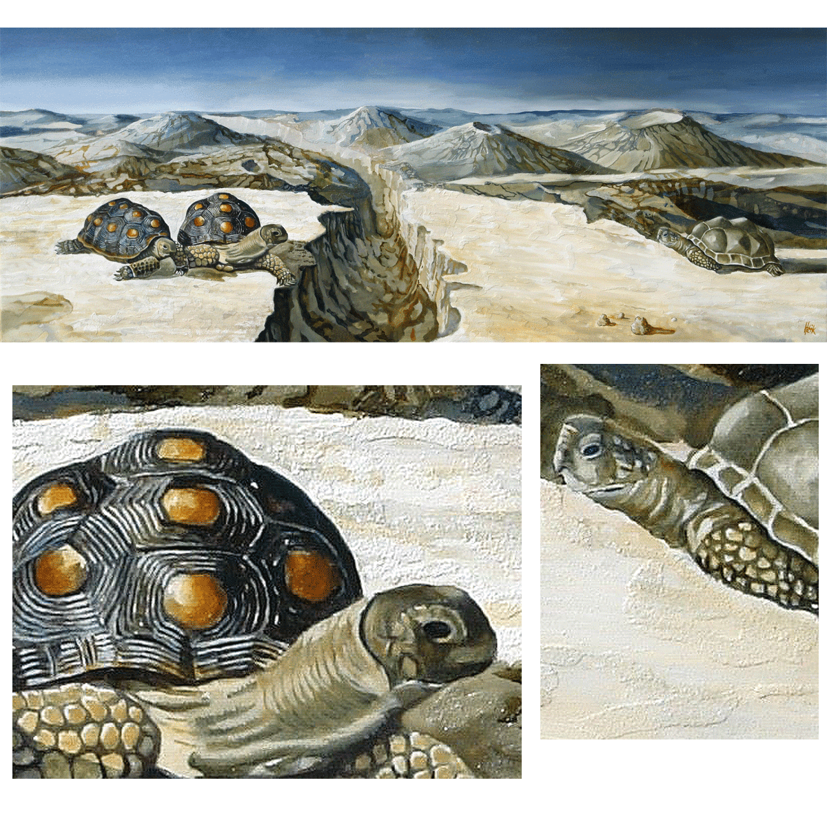 turtles on the beach